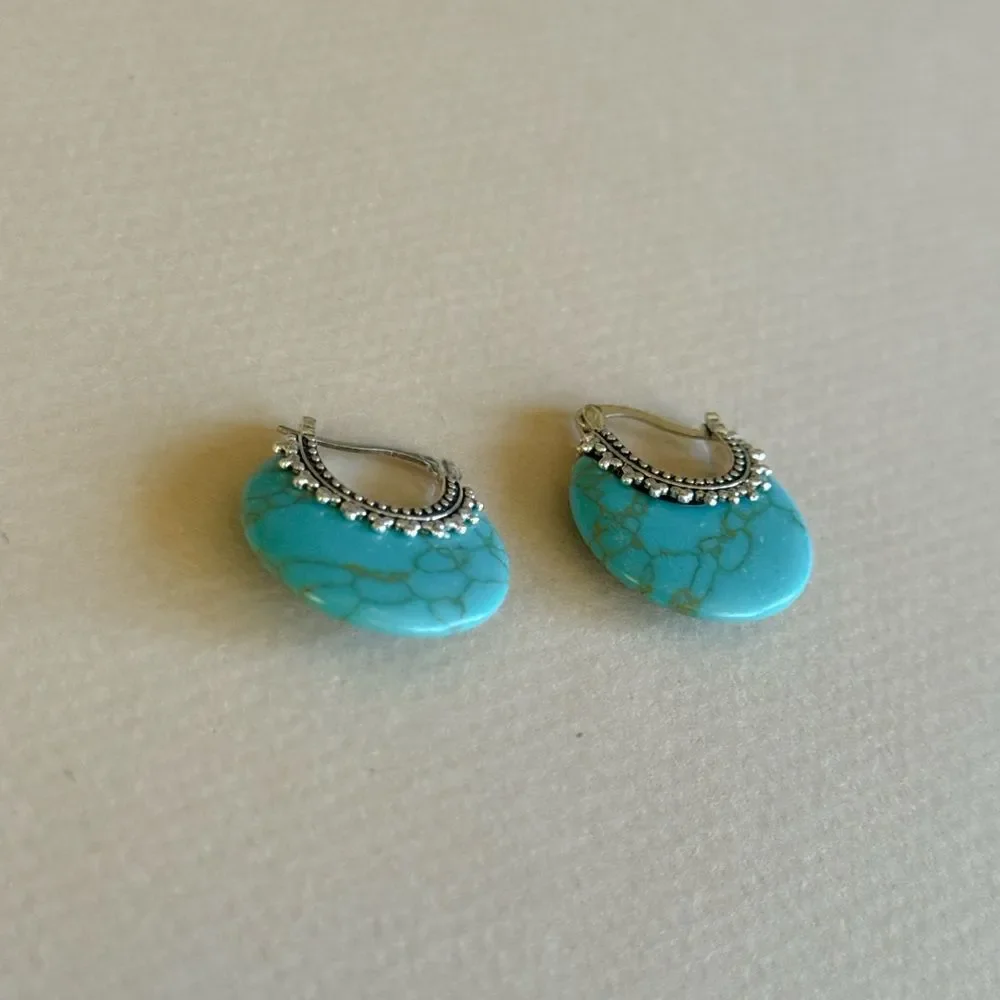 Stone Hoop Earrings N1672